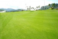 Diamond Bay Golf & Villas (